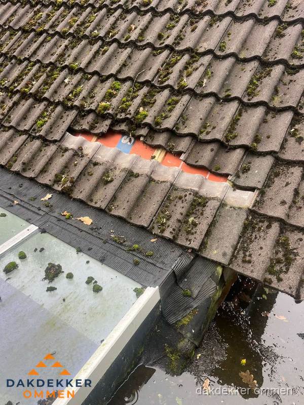Beschadigd pannendak met ontbrekende dakpannen voor reparatie in Ommen Beschadigd pannendak met ontbrekende dakpannen voor reparatie in Ommen